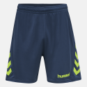 Tenue Homme Hmlpromo / Bleu/Vert Tenue d'entrainement 205872-6247