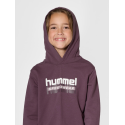 Sweat à capuche enfant Hmltukas Hoodie Huckleberry - Rose Sweatshirts 226351-8156