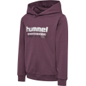 Sweat à capuche enfant Hmltukas Hoodie Huckleberry - Rose Sweatshirts 226351-8156