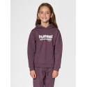 Sweat à capuche enfant Hmltukas Hoodie Huckleberry - Rose Sweatshirts 226351-8156