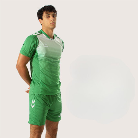 Tenue d'entrainement Hmlcore xk Ss Poly Jersey Vert TextilesT211459-6001