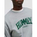 Sweat-shirt Loose Crewneck University - Gris/Vert Hoodies et Sweatshirts226134-2006